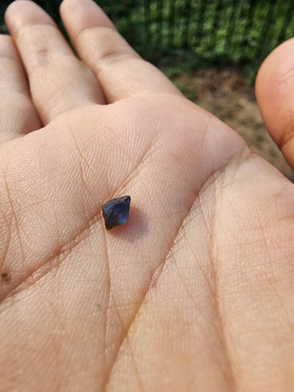 A small rough blue gemstone resting in a hand after discovery.